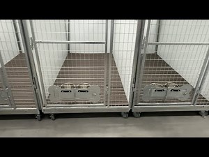 Turning an Empty Warehouse Into an Epic Dog Kennel System
