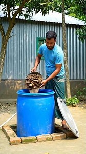 No More Gas Cylinder Lines! Make Free Cooking Gas at Home with Biogas (Step-by-Step Guide)