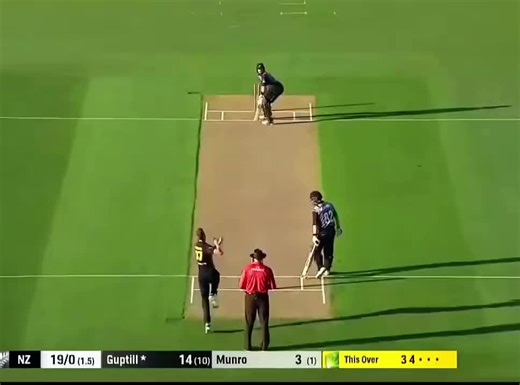 Australia vs New Zealand T20 Match Highlights