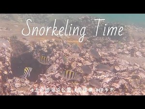 Snorkeling Time@五色姫海浜公園202509