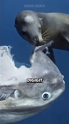 FISH IS THE MOST TRAGIC ‼️😭 #shorts #facts #fish