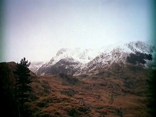 Die Ritter der Kokosnuss Trailer OV