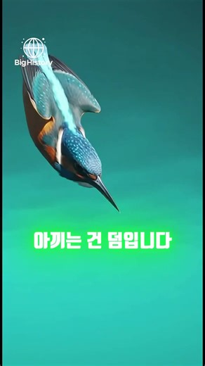 "절대로 풀 한 포기를 무시하지 마세요. 인류의 스승입니다." #빅히스토리 #인류의서사 #과학