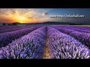 Música para meditar – Efeitos, como escolher e 20 sugestões de músicas