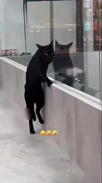 Animal funniest short 😄🤣 #animalsfunny #funnyanimals #pets #shorts