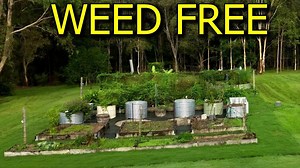How to make weed-free pathways around vegetable garden