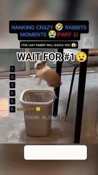 Crazy Rabbit Moments😭( Ranking Part 2 )🐰 | You Won’t Expect 1…#shorts