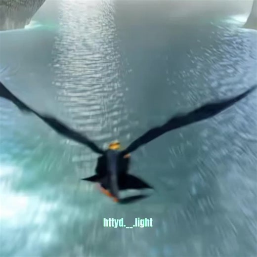 Httyd is Beautiful !😍 ⚠️not my quality⚠️#movie #toothless #beauty #beautiful #hiccup #rio #brezil #httydedit #httyd #fyp #fip #foryou #fy @edit_des_dragons @rio._.dragon @ambre