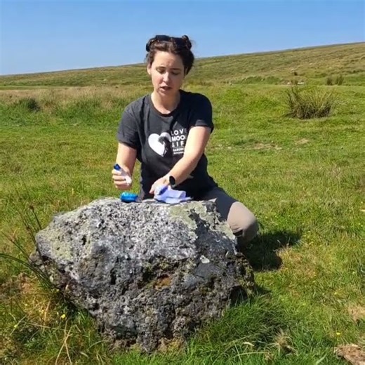 3Ps Guidance on Peeing in the wild (how to have a safe wild wee)