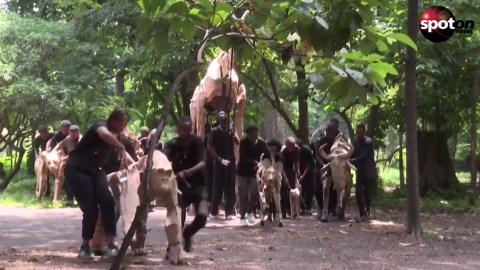 Life-size animal puppets set off to travel 20,000 kilometers