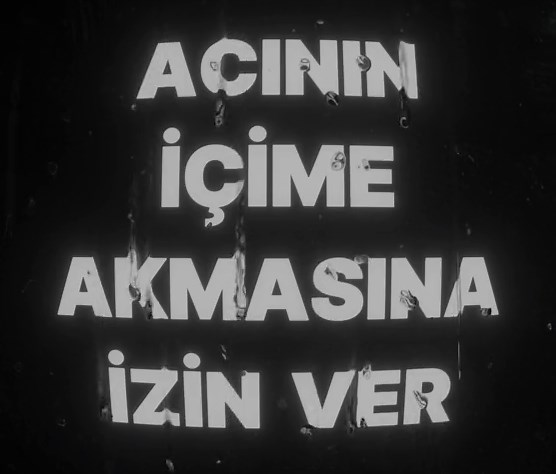 Grouper-Poison Tree #lyrics #lyricsvideo #lyrics_songs #fyp #fypage #fyppppppppppppppppppppppp #foryoupagee #poisontree