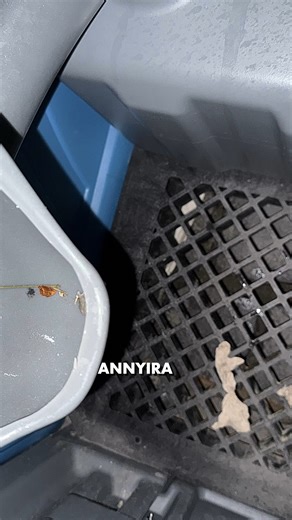 117K views · 1K reactions | A Toi-Toi budik logikusan úgy vannak...