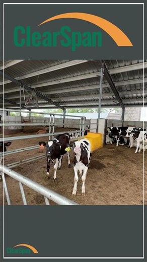 ClearSpan Livestock Shelter – Calf Housing – Diller, NE