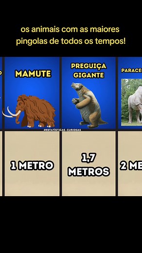 Os animais com as maiores \npingolas de todos os tempos!