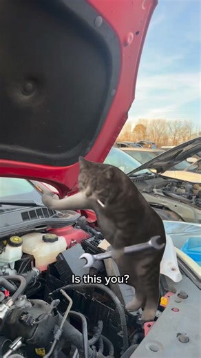 Pull-A-Part Montgomery on Instagram: "Ask about our part pulling program ##foryoupage #usedcars #thankyou"