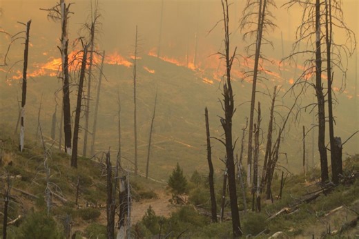 Oregon’s wildfire season has cost the state $97 million in 2025, and it’s not over