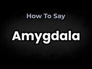 How To Pronounce Amygdala? (CORRECTLY) Meaning & Pronunciation