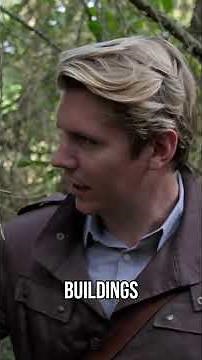 Hidden Nazi Palace Swallowed by German Forest