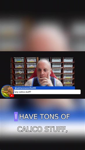 Sugar/calico such an underrated gene! What other genes do you feel need more love? . . . #eternalmorphs #burmball #ballpython #burmesepython #python #snakesofinstagram #reptilesofinstagram #snake #livingart #ballpythonthailand #볼파이톤 #뱀 #ヘビ #ボールパイソン #爬虫類 #蛇 | Eternal Morphs