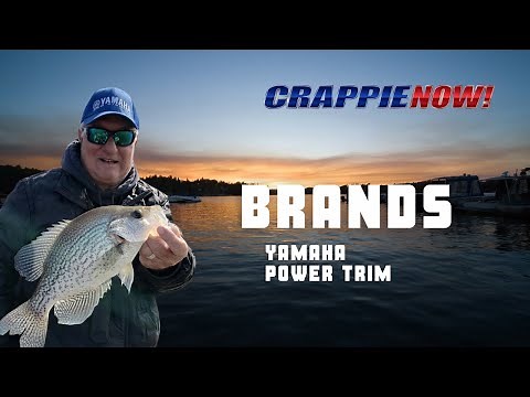 Regular Power Trim Maintenance