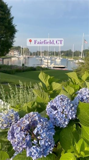 Fairfield, Connecticut: Charming Beach Town Getaway with Scenic Walks, Shops & Coastal Vibes