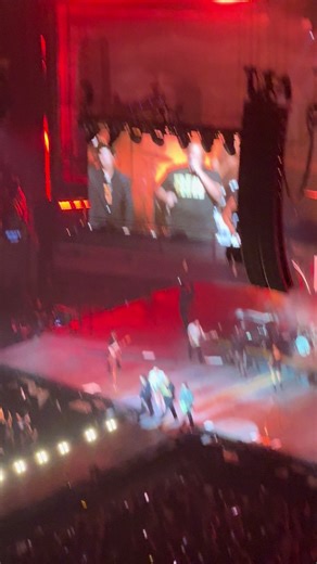 Excitement at the Jonas Brothers Concert with Big Rob