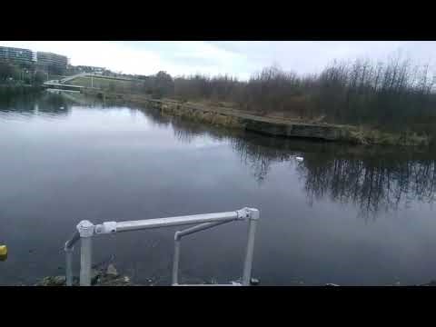 The New Sighthill Park in Glasgow, Scotland (March 2023)