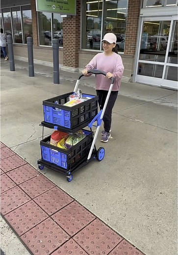Carro de Compras Plegable: Tu Mejor Aliado en el Supermercado