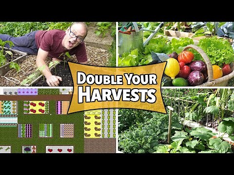 Best Succession Crops for Summer Planting