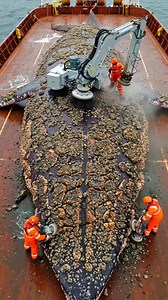 painful barnacles removed #whale #whalerescue #barnaclesremoval #marinerescue #ocean #oceanlife #rescuemission #marineconservation #whalecleaning #oceanhero #marinelife #searescue #savethewhales #underwaterworld #animalsoftiktok #animalhelp #emotionalrescue #orcawhale #satisfyingvideos | Dolphins & Whales Adventures