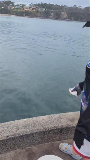 Popping Brim Tricks for Fun