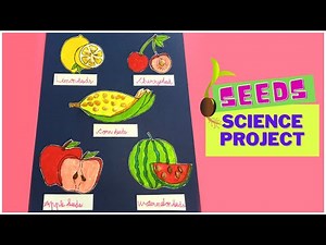 Science Project on Seeds