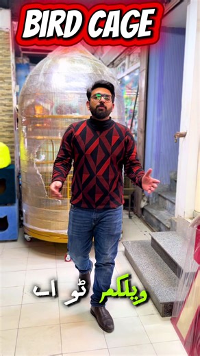 Giant Bird Cage: An Incredible Feat of Design