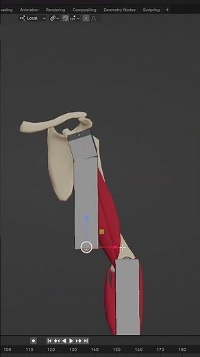 Advanced Blender 4.0 Muscle System #3danimation #blender #b3d