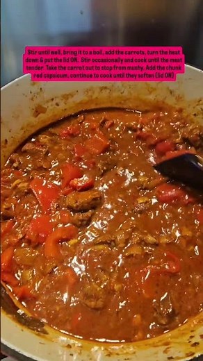 Hungarian Beef Goulash. A very flavourful dish that would go well with sourdough bread!