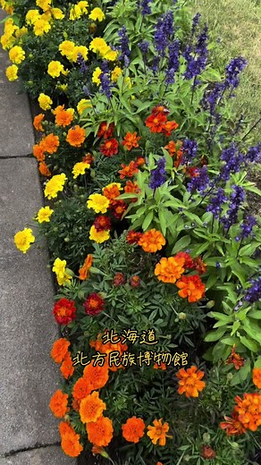 網走に行ったらおススメスポット！ #北海道 #網走 #観光スポット #道東