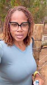 Back when we had pigs and a cow, the cow thought the pigs were her children and she always wanted to be wherever they were lol #AmenSomebody | Theresa Yolanda Brown