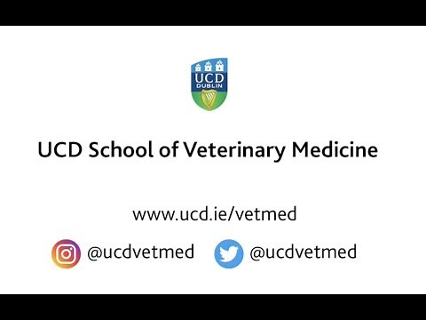 Welcome to the UCD School of Veterinary Medicine