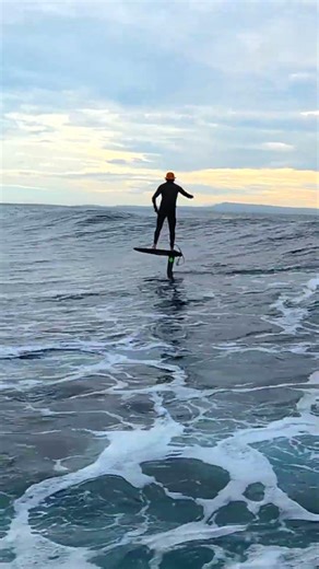 Let me take you on a tour… 🌴