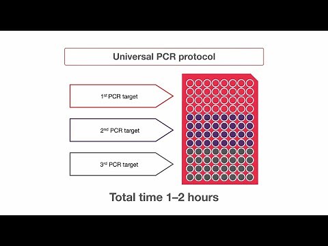 Benefits of a universal annealing temperature for PCR