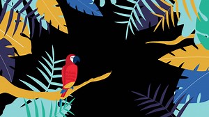 Tropical Parrot Illustration | Free Stock Video Footage