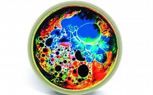 Focusing on Phase Separation / Cell, November 29, 2018 (Vol. 175, Issue 6)