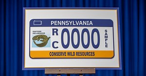 New Pa. license plate features state amphibian, the eastern hellbender