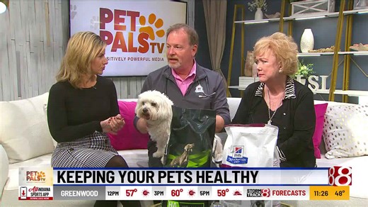 Pet Pals TV: Keeping your pets healthy