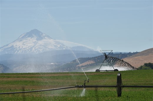 Oregon’s snowpack just broke a terrifying record, and the consequences could be devastating this summer