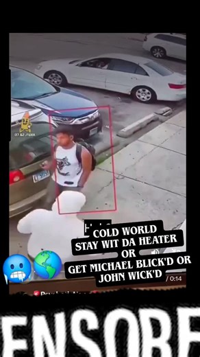 THA HALL OF GAME 💯 on Instagram: "Extend3d Clip Mike Vick'd or John Wick'd Choose your own Adventure. #sitting #duck"