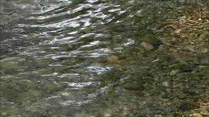 File:Video Codec Test riverbed 1080p25.y4m.webm - Wikimedia Commons