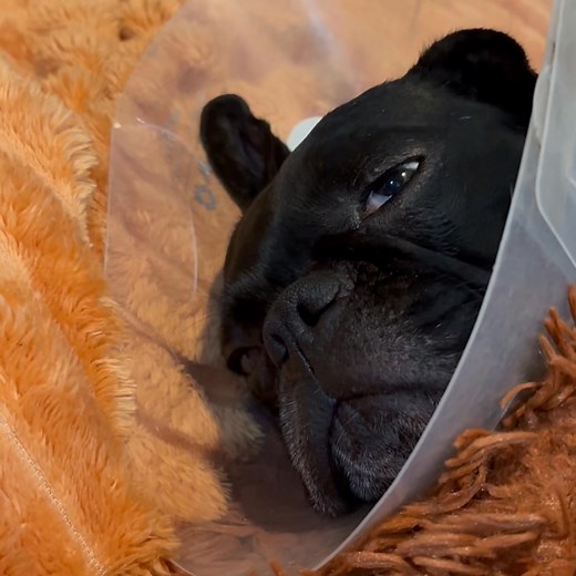 1.1K views · 83 reactions | Surgical cone = snore megaphone | Erin Morse | Facebook