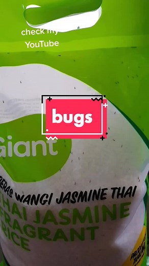 Grain bugs #ricebugs #fyp #foryou #foryoupage #omggggg
