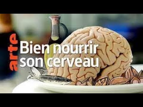 🔴Arte Science 🔴 COMMENT l'alimentation influence Notre Cerveau Documentaire Français REPORTAGE